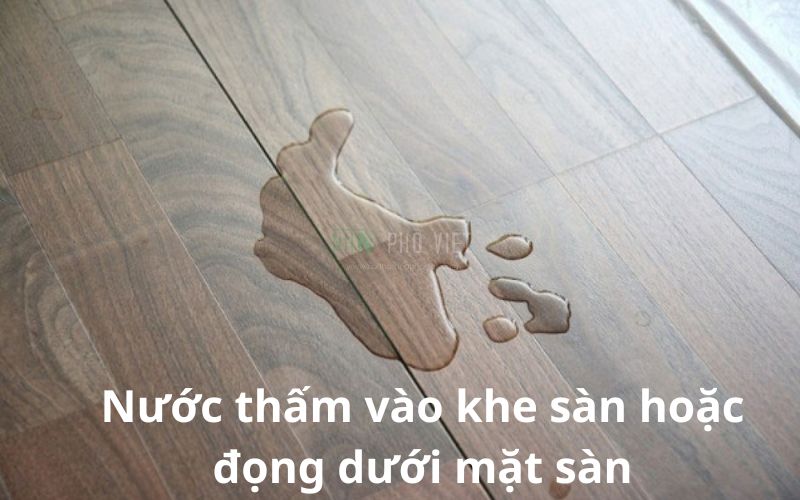 huong-dan-xu-ly-san-go-bi-phong