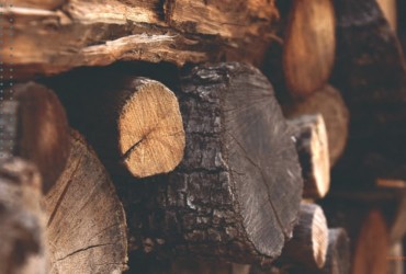 Veneer là gì ? Ứng dụng trong nội thất gỗ ?